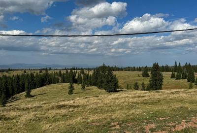 Teren Construcții intravilan de 1000 mp, în Călățele - 4