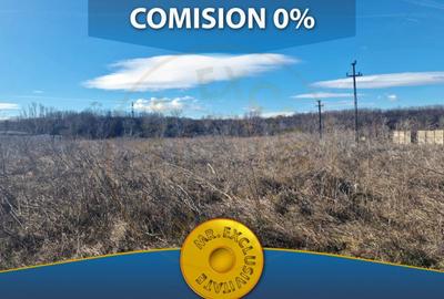 26.000 MP TEREN+HALA COSTESTI - 1