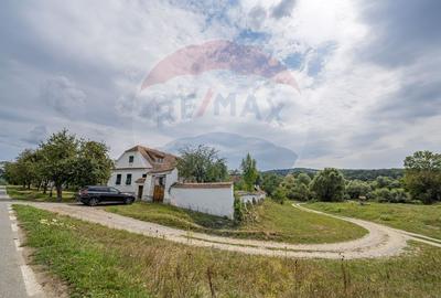 Casa saseasca in inima Transilvaniei - Bruiu 326 - 7