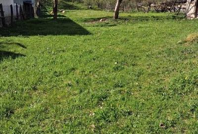 Teren de 2300 mp, în Mihăești - 1