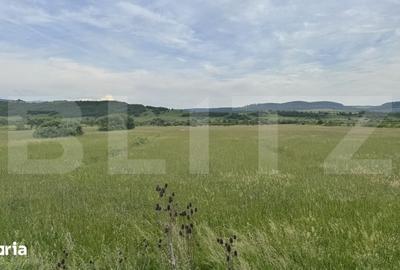 Teren de 5500 mp, în Livezile - 4