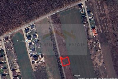 Teren 600 mp str Molidului langa padure - 2