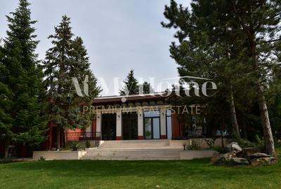 Vila unica pe malul Lacului Snagov, piscina si garaj ambarcatiuni, teren 1750 mp Vila unica pe malul Lacului Snagov, piscina si garaj ambarcatiuni, teren 1750 mp - 19