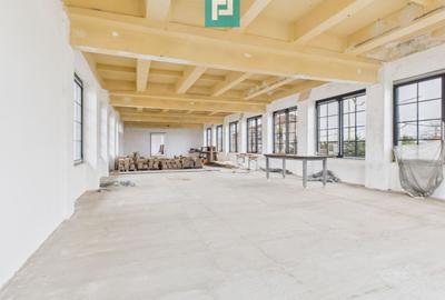 Spațiu industrial, de 270 mp, în Periam - 9