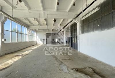 Hala depozitare sau productie, 470 mp, Zona Buziasului - 5