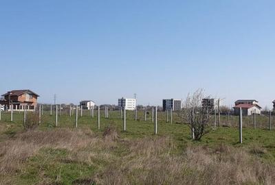 Veterani / 500 mp Veterani / 500 mp - 1