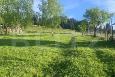 Teren de 2000 mp, în Central