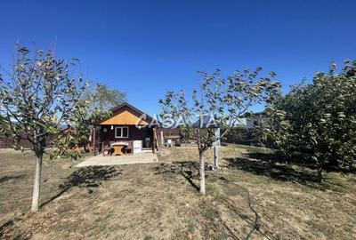 Teren Construcții intravilan de 982 mp, în Turcinești - 2