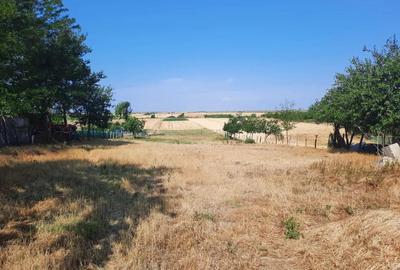 Colaborare in diverse afaceri - 1