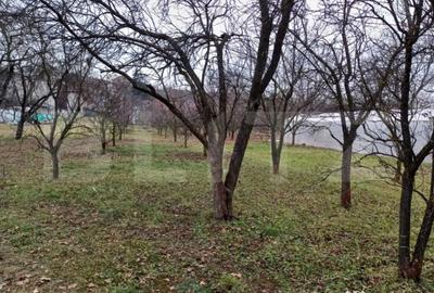 Teren de 2497 mp, în Turda - 3