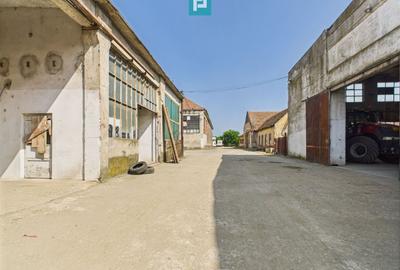 Spațiu industrial, de 6,179 mp, în Orțișoara - 16