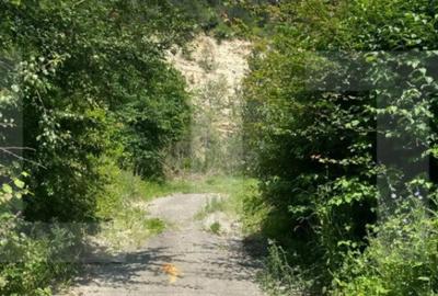 Teren de 842 mp, în Baciu