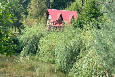 Vind casa de vacanta cu trei casute si pescarie - 3