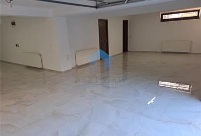 Spatiu Comercial, Intre Lacuri