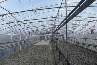 Test anunt comerciar de inchiriat