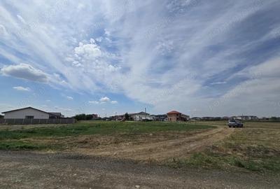 Mosnita Noua- Serena-1100mp - P+1E+M- Toate Utilitatile - 6