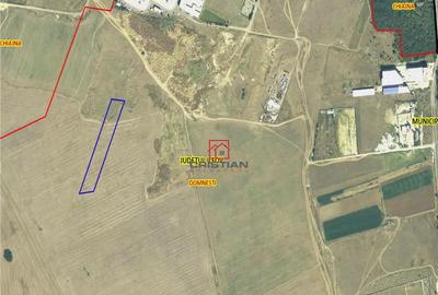 Teren de 12600 mp, în Domnești - 2