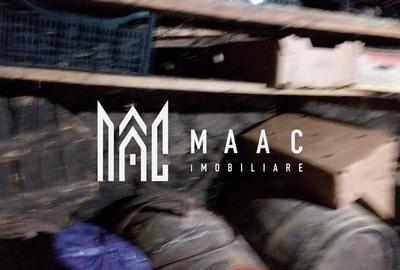 Casă cu 4 camere cu Teren 60000 Mp în Central - 12