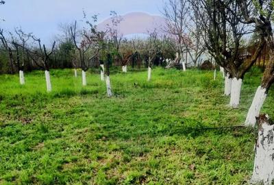 Casa de vanzare cu livada si piscina - Giurgiu - 25