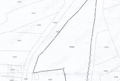 Teren de 7700 mp, în Voila - 2