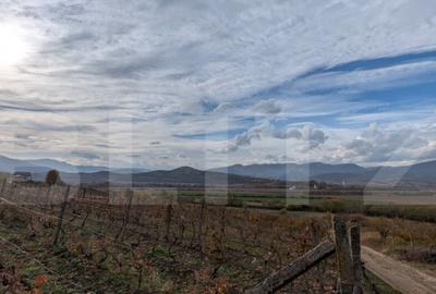 Teren pretabil pentru cabana, cu view - 1