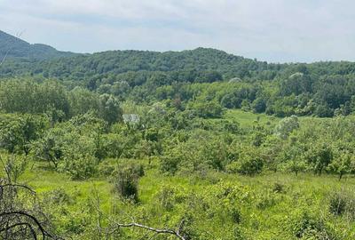 Teren de 6000 mp, în Urluiești - 1