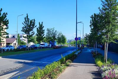 Teren Construcții intravilan de 5000 mp, în Prelungirea Ghencea - 4