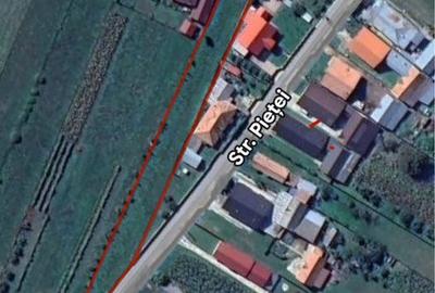 Teren de 1783 mp, în Dofteana - 3