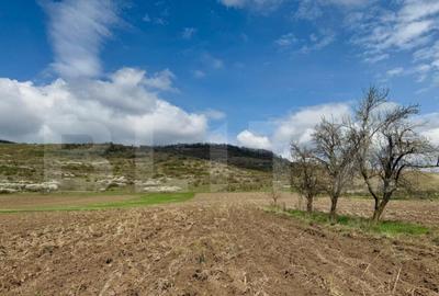 Teren intravilan de vanzare, 1500 mp, zona ?oimu? - 4