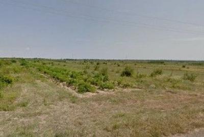 Teren de 6390 mp, în Cernătești - 3