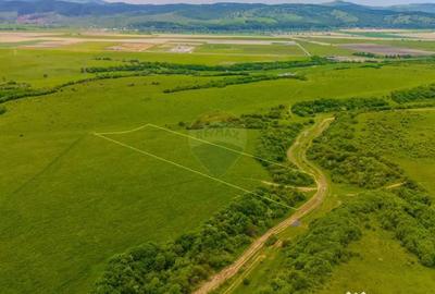 Teren de 10800 mp, în Râșnov - 7