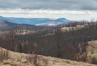 19,5 Ha  TEREN PEISAJ PANORAMIC SPECTACULOS zona turistica montana BULZ -  BIHOR - 15