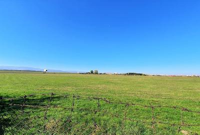 Casa cu teren 1300 mp zona Primarie Selimbar Casa cu teren 1300 mp zona Primarie Selimbar - 7