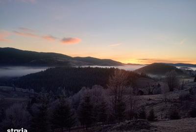Teren de 2922 mp, în Arieșeni - 4