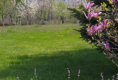 Casă cu 5 camere în Dejani - 4