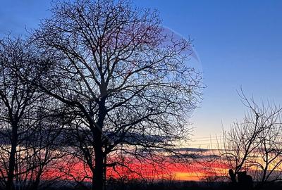 Proprietate in mijlocul naturii 8514 mp teren ?i ?... - 4