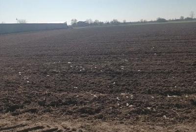 Loturi de vanzare Ordoreanu, terne de 500 m, drum servitute 8 m - 4