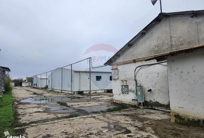 Spațiu comercial, de 683 mp, în Domnești - 1