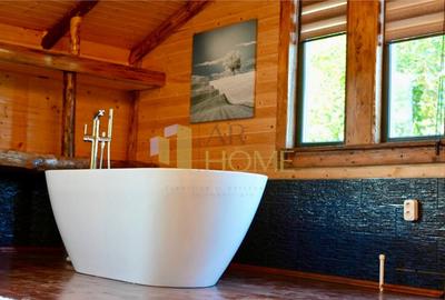 Casa vacanta, 9500 mp teren intravilan, in Valea Calugareas - 12
