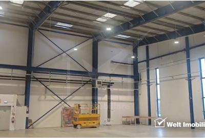 Spatiu depozitare sau productie 600mp, birouri si anexe 150mp, Tetarom I - 3