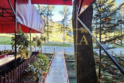 Spațiu comercial, de 700 mp, în Central - 11