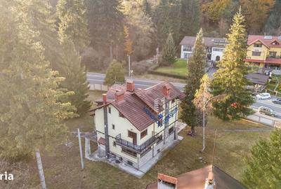 Casă cu 4 camere cu Teren 3677 Mp în Timișu de Sus - 1