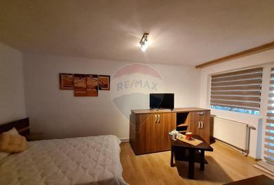 Apartament cu o camera de inchiriat in zona Brailei