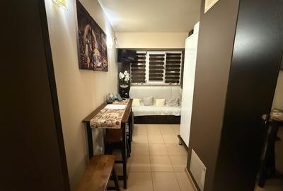 Garsoniera semidecomandata, 30 mp, Rovine, Zona Iruc - 5