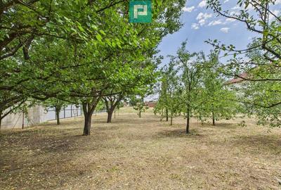 Casa, Com.Irato?u. Jud.Arad - 5