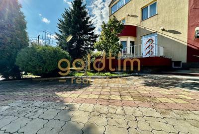 VALU LUI TRAIAN/CASA INDIVIDUALĂ/CURTE GENEROASA/SUPERBA/STRADALA/ZONA CENTRALA - 11