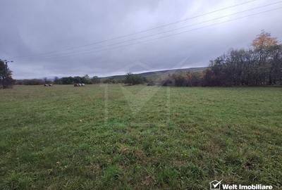 Teren intravilan in Padureni - Chinteni, 3200 mp, intre case - 2