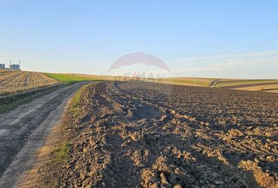 Teren agricol extravilan de 30077 mp, în Stroiești - 11