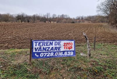 Spațiu comercial, în Certeju de Sus - 2