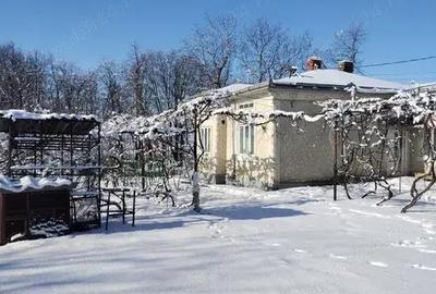 Casă cu Teren 5800 Mp în Călinești (Bucecea) - 1